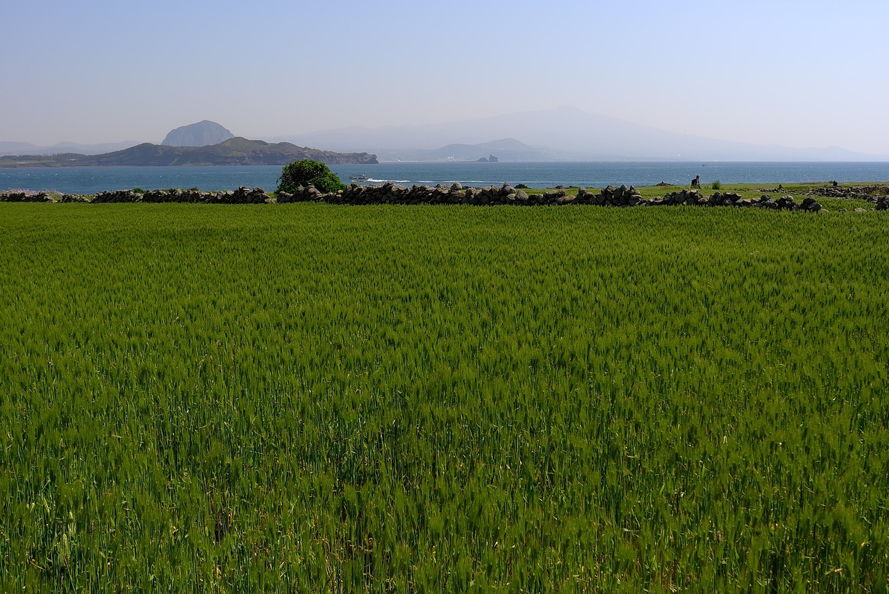 7월 한라산 특별 산행 예약 백록샘