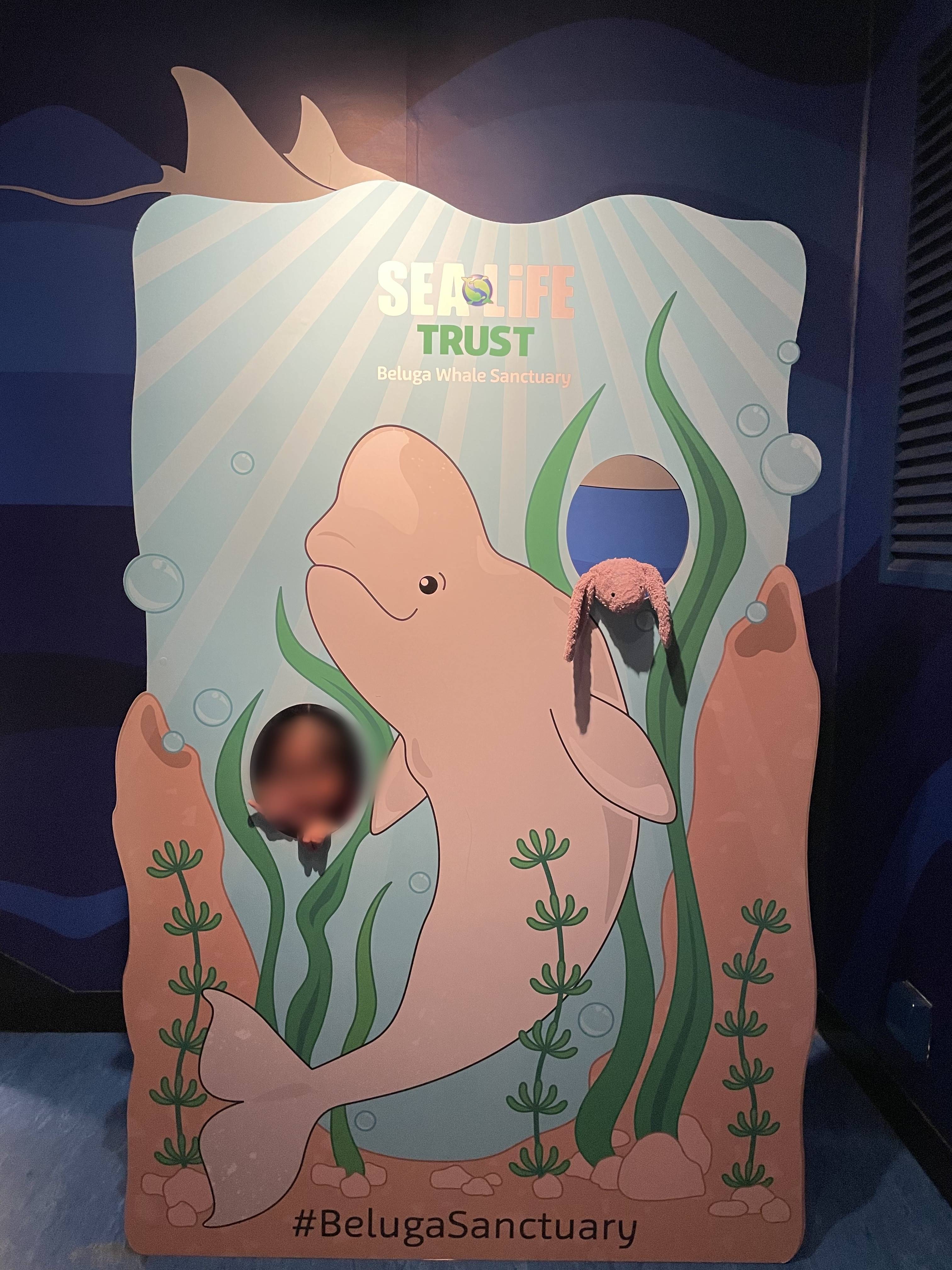 조호바루-레고랜드-씨라이프