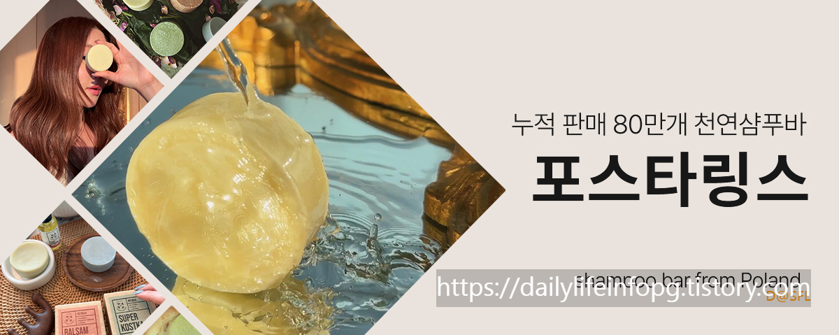 아르뉴 살펴보기 4