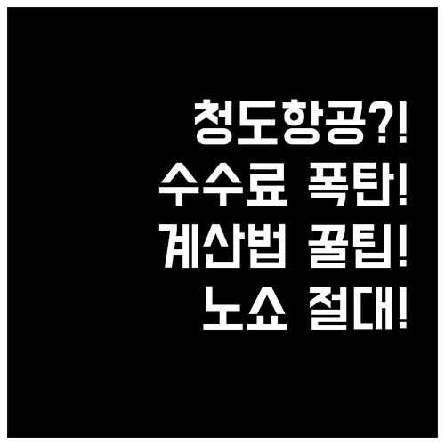청도항공 취소 수수료 계산법과 노쇼 ..