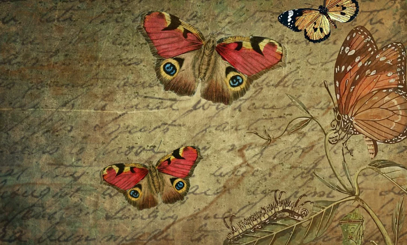 의복·건축·예술, 전통의 기원은? (의복, 건축, 예술)