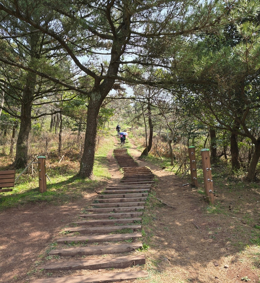 군산오름 올라가는 길 이미지