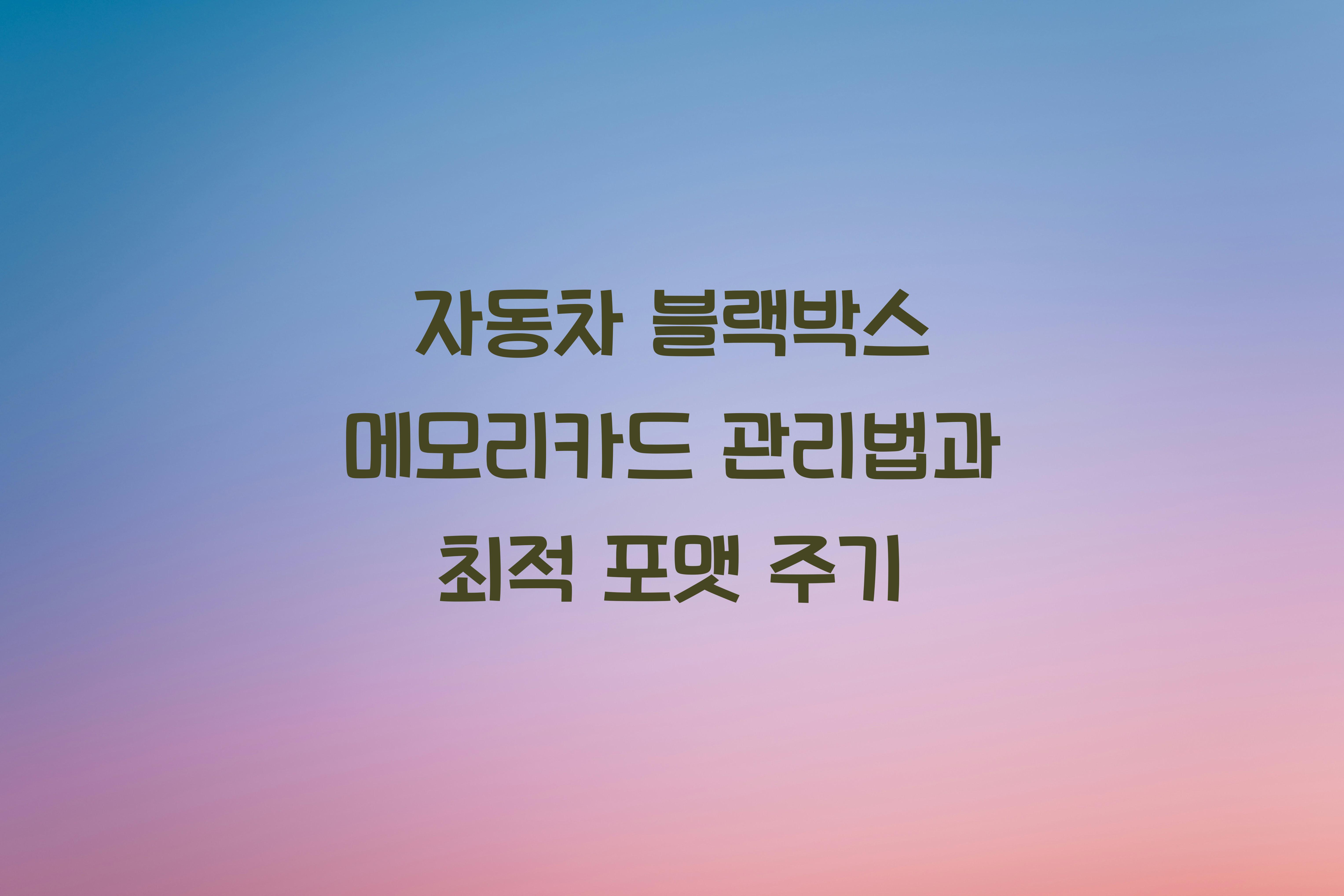 자동차 블랙박스 메모리카드 관리법