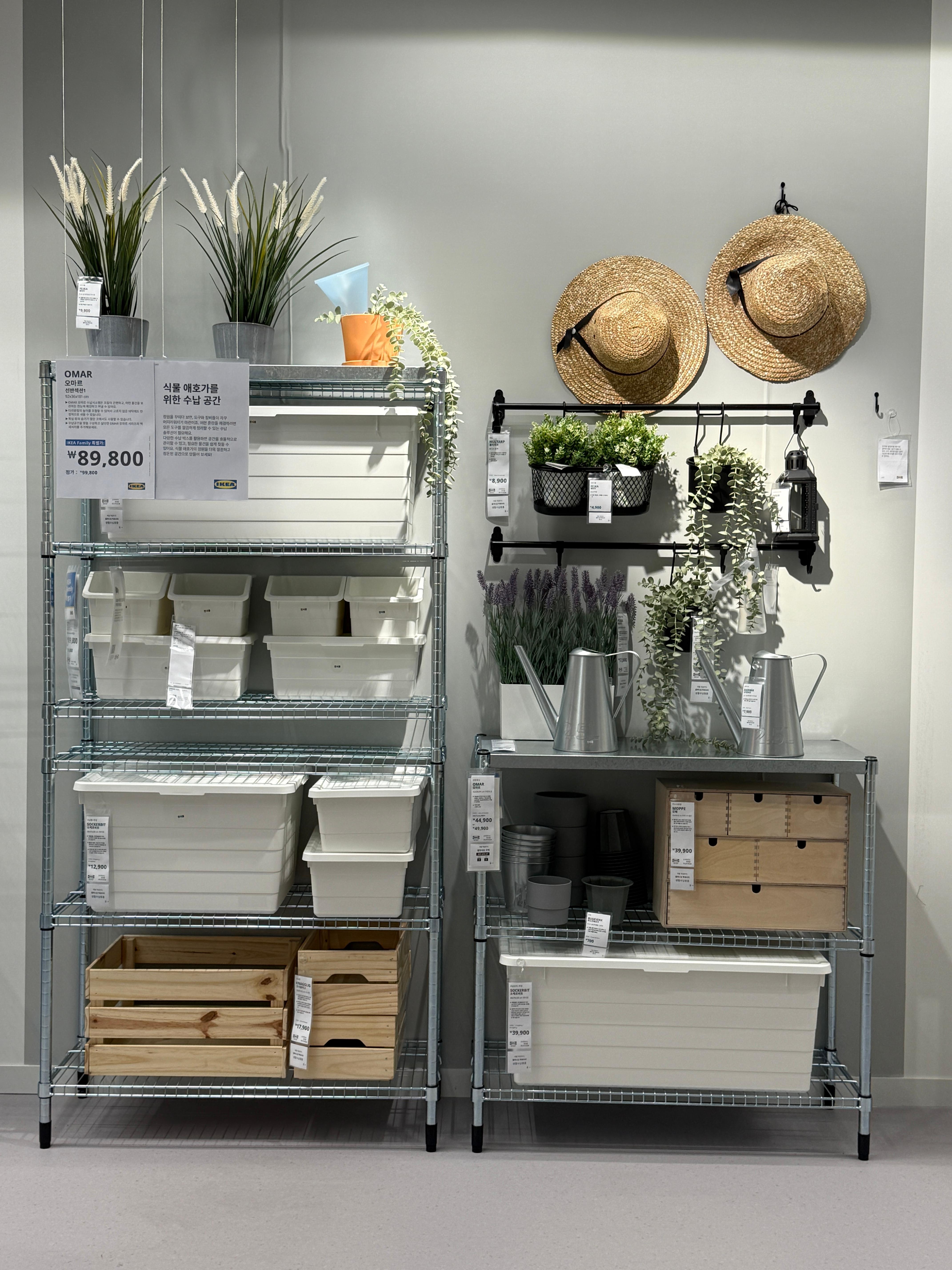 식물 관련 용품