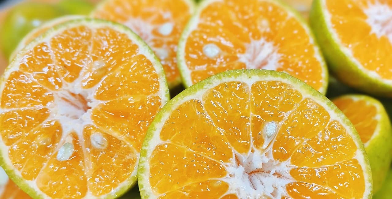 깔라만시효능,깔라만시칼로리,깔라만시섭취방법,깔라만시고르는법,깔라만시요리,깔라만시부작용,깔라만시영양소,깔라만시위장장애,깔라만시제품,깔라만시가루,깔라만시주스