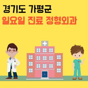 경기도 가평군 일요일 정형외과 진료 병원 리스트