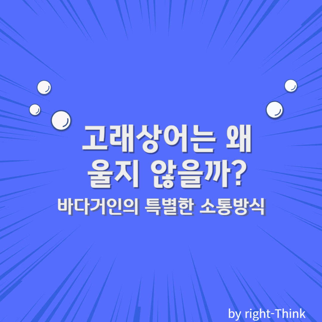 고래상어는 왜 울지 않을까? 바다 거인의 특별한 소통 방식