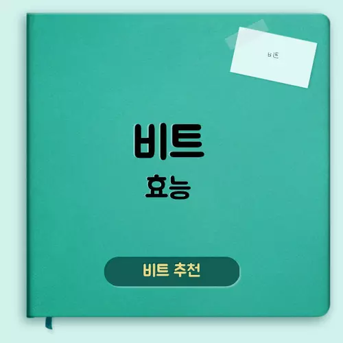 비트 효능에 대하여