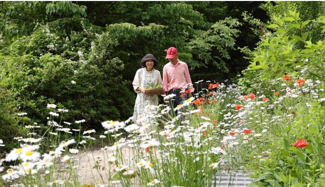 한국인의 밥상 화순 허브정원 썸네일