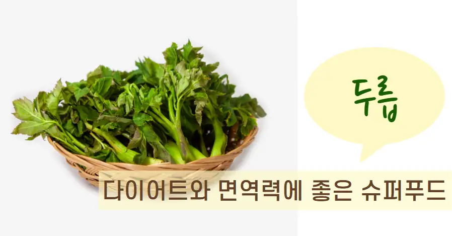 두릅 – 다이어트와 면역력에 좋은 슈퍼푸드