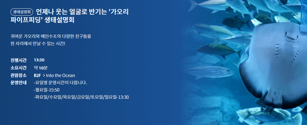 광교 아쿠아플라넷