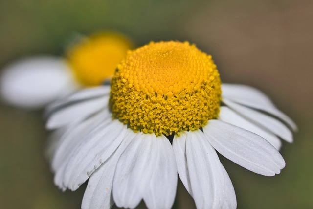 독립영화 비용 절감 팁