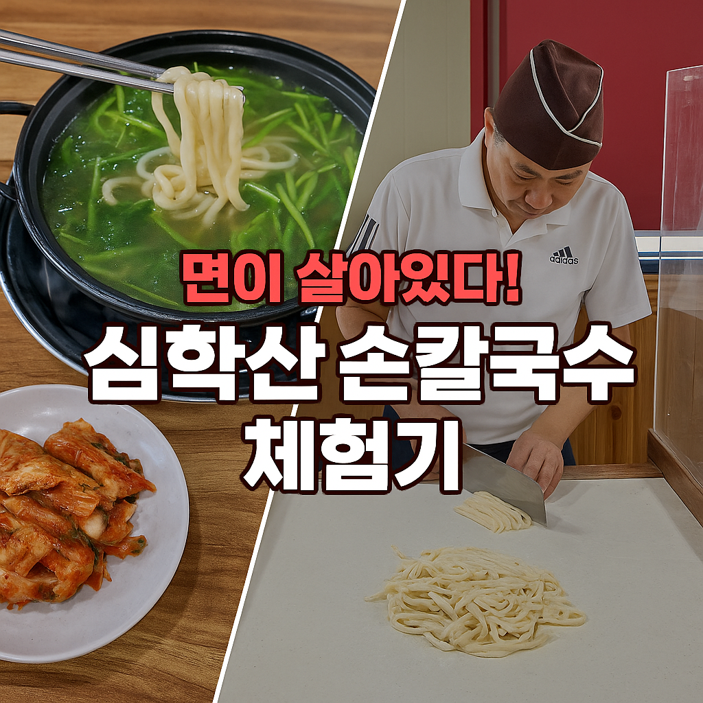직접 뽑은 면발이 살아있다! 파주 심학산 홍두깨 손칼국수 맛집 방문기