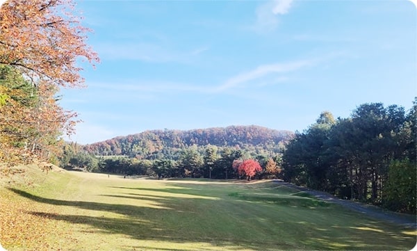 골드cc전경-1