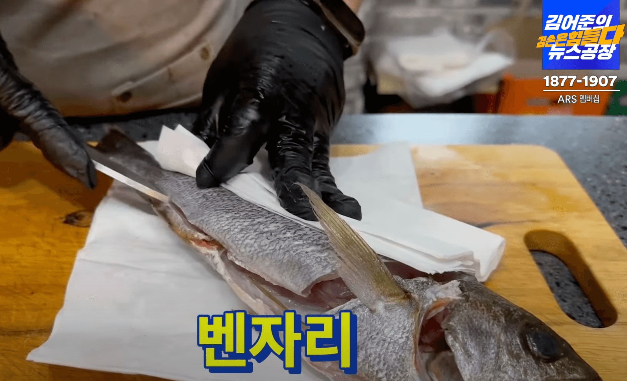 벤자리돔-손질