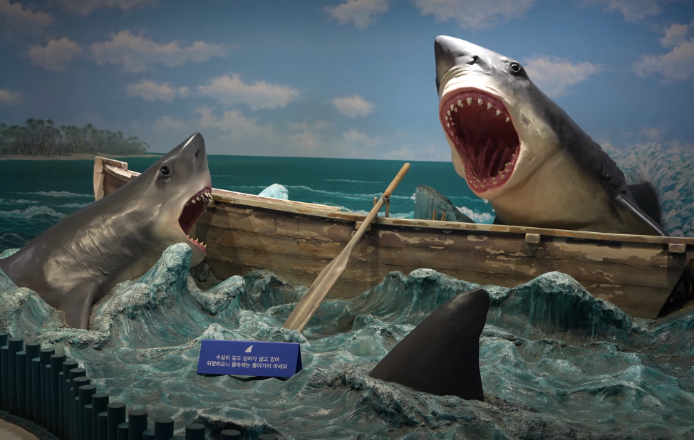 아쿠아플라넷제주의 흑상어 모형