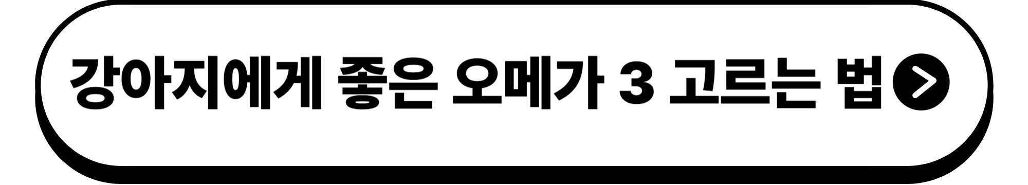 강아지도 꽃가루 알러지가? 필수 대처법 5가지