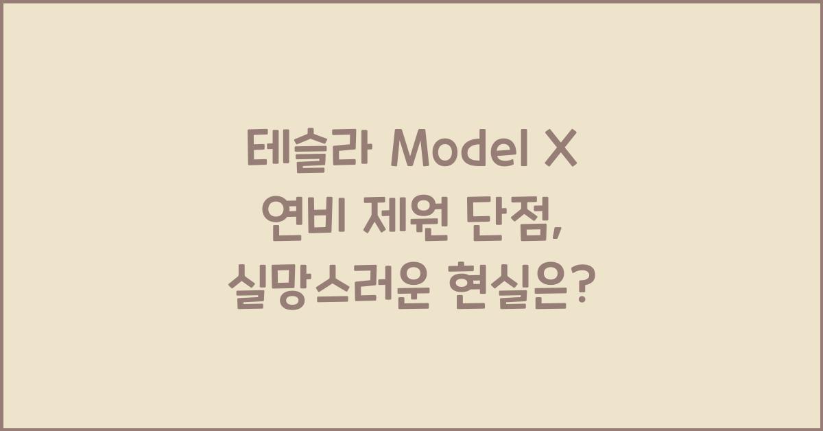 테슬라 Model X 연비 제원 단점