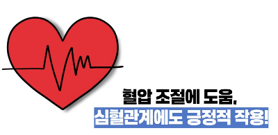 블루베리 효능 부작용