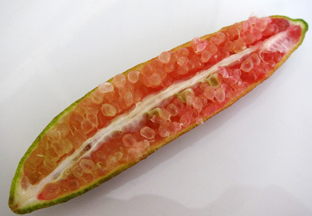 핑거라임-비타민