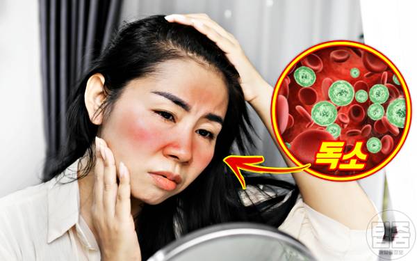 몸속 독소 배출 몸독소증상