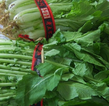 열무 효능 부작용 고르는법 칼로리