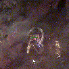 POE2, 스미스 오브 키타바, 갈퀴질 맵핑