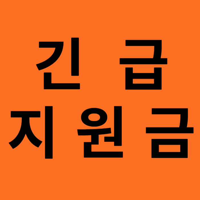 2025 긴급 지원금 대상별 사이트 총정리