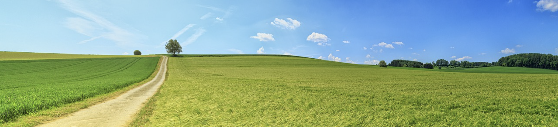 국내 감성 차박 성지 관련사진