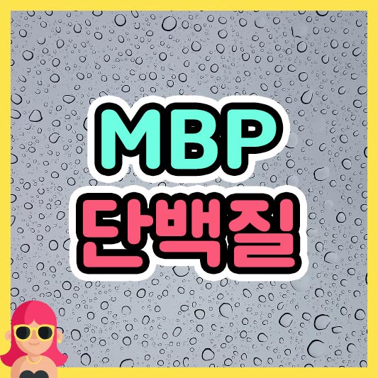 섬네일 MBP 단백질