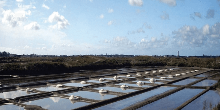 르 팔루디에르 게랑드 토판 천일염