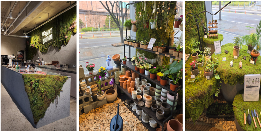 파주 식물 정거장 카페 내부 사진