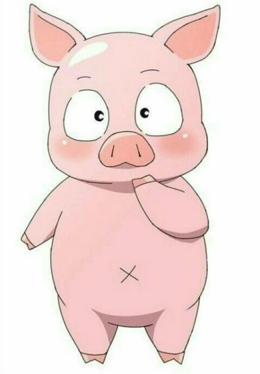 돼지 나오는 꿈 해몽