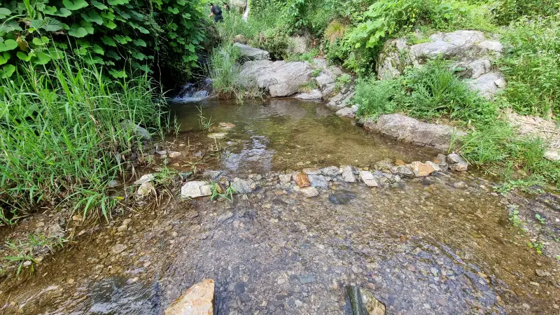 용문산 자연휴양림