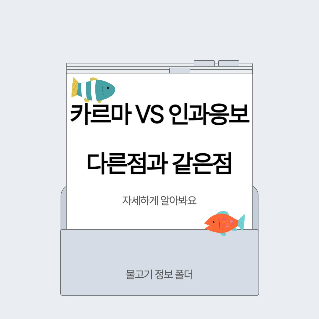 카르마 VS 인과응보