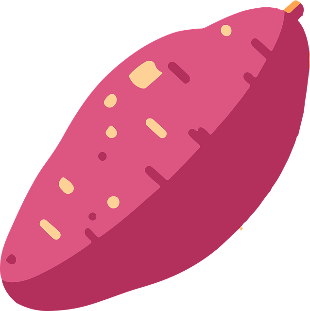 고구마 심는 시기 알아보기 26