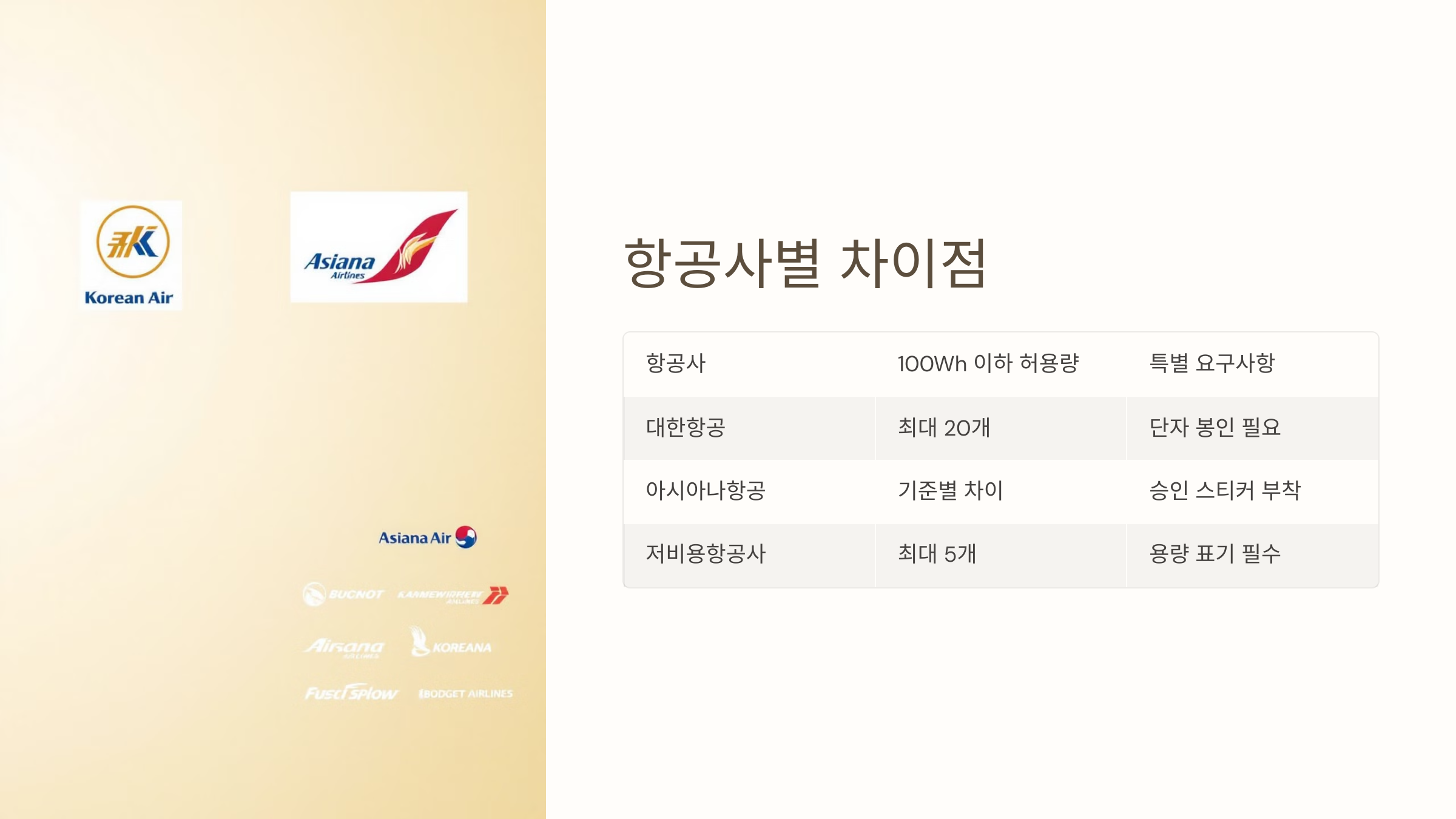 항공사별 차이점