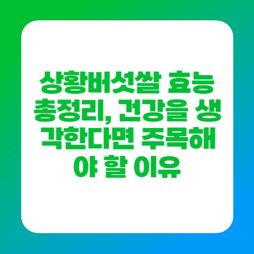 상황버섯쌀 효능 총정리, 건강을 생각한다면 주목해야 할 이유