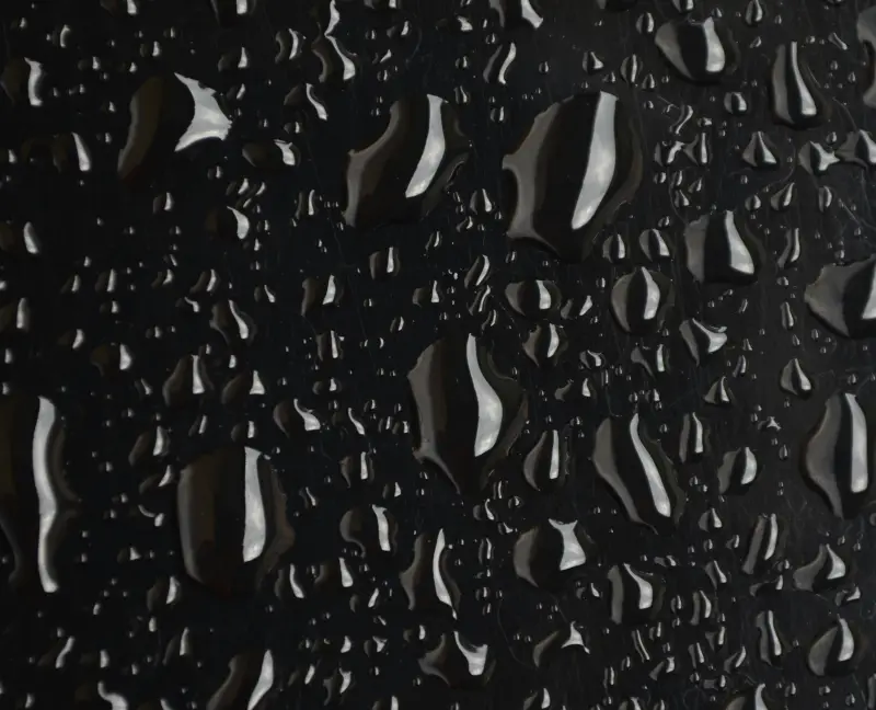 제주도 날씨 항공편 결항