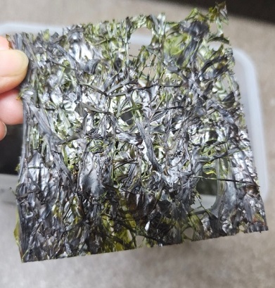 한국기행-울릉도-돌김