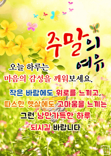 감성적인 들꽃 배경에 주말의 여유를 전하는 인사말