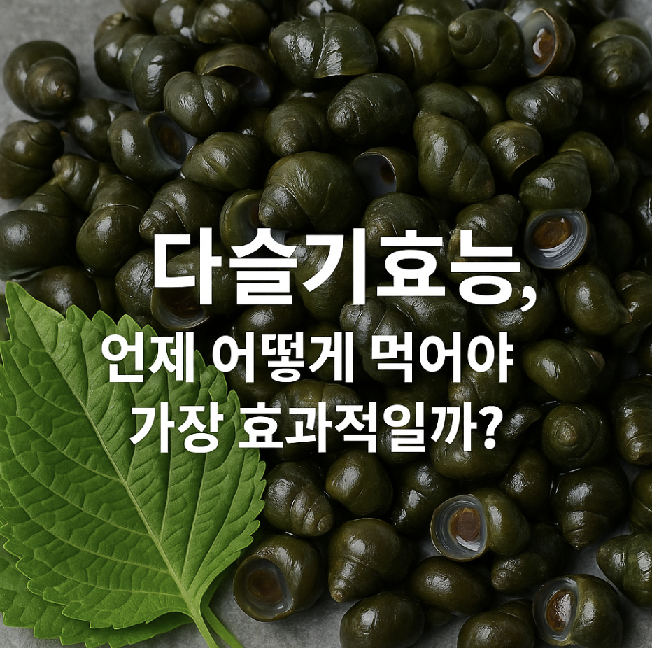 다슬기효능, 언제 어떻게 먹어야 가장 효과적일까?