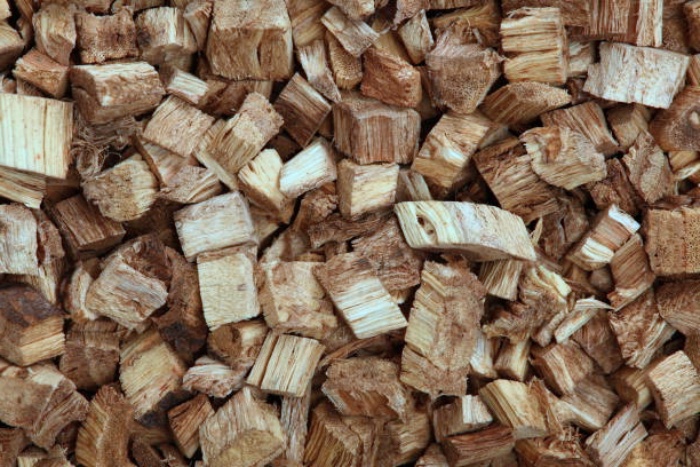 당뇨병에 좋은 음식 칡