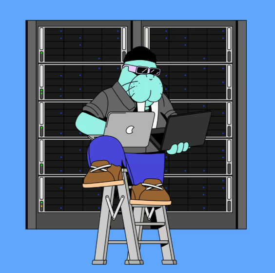 월러스코인 나비프로토콜