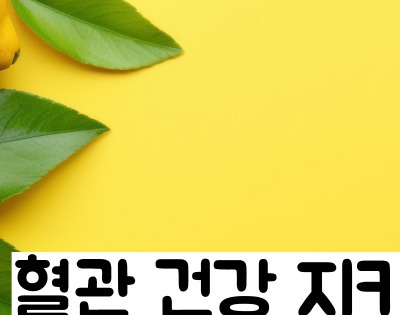 레몬즙 효능