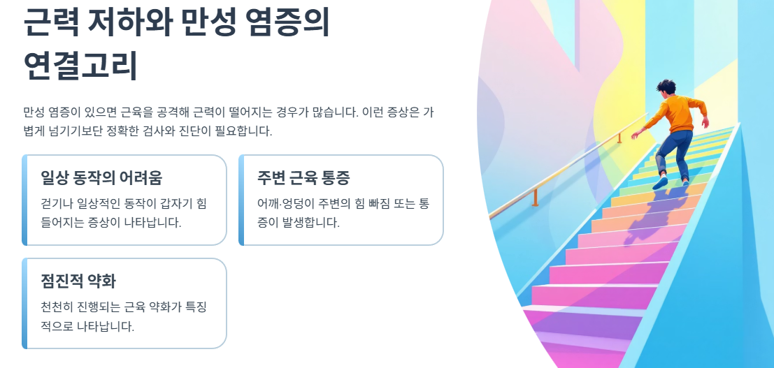 근력 저하와 만성 염증의 연결고리