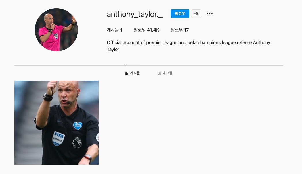 앤서니 테일러 주심