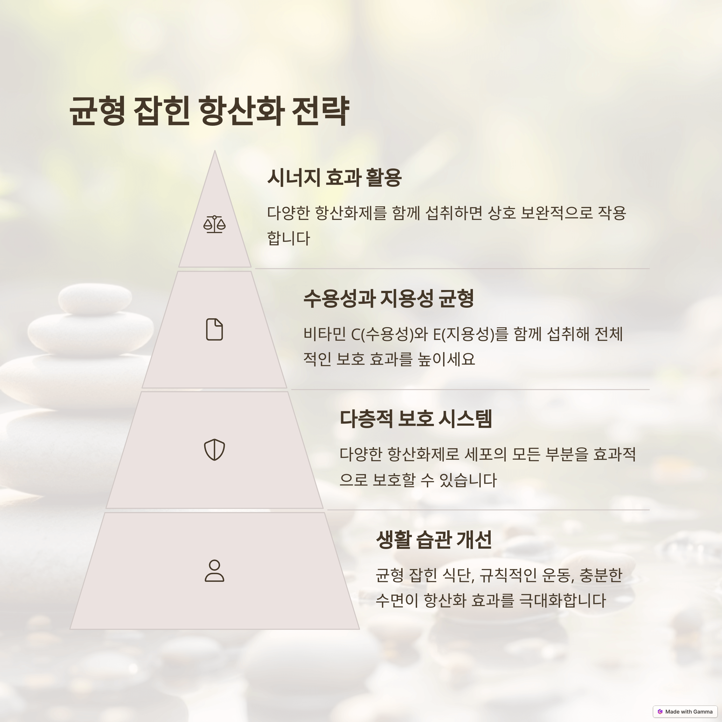 노화 지연의 핵심, 항산화 비타민: 젊음 유지 비법 &amp; 완벽 가이드