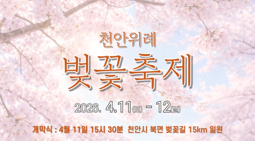 천안위례 벚꽃축제 포스터