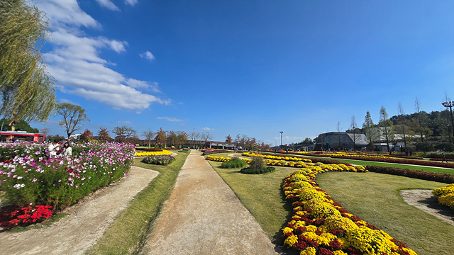 2025 순천만 국가정원 순천여행 맛집 현지인 추천 맛집 순천만 숙박